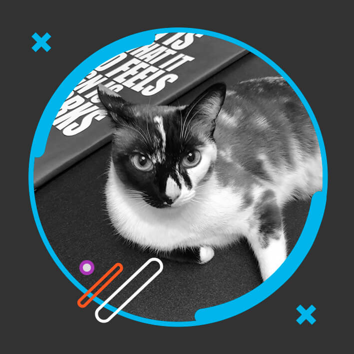Capu cat boss
